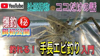 『辻原伸弥のココだけの話』爆釣マル秘︎餌公開　釣れる！！︎手長エビ釣り入門【手長エビ釣り】【入門】【テナガエビ】【釣れる】知ってて徳する豆知識解説！！️