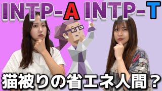 【MBTI】思考の深さが半端ない⁉️正確でシゴデキだけど臆病なINTP-AとINTP-Tの違いを徹底解説します‼️【論理学者】