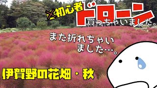 超初心者ドローンvol49 伊賀野の花畑　秋。【MavicMini】