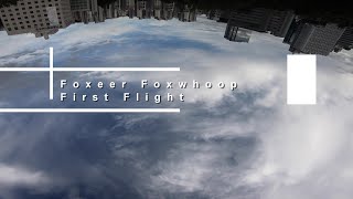 부셔지지 않는 2.5인치 FPV 드론(Foxwhoop 첫비행)