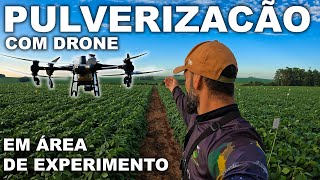 PULVERIZAÇÃO COM DRONE DJI T50 em Área Experimental | Como Funciona na Prática!