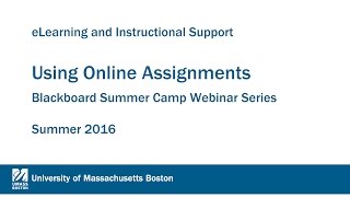 Using Online Assignments Webinar