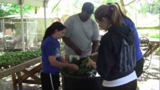 Sweetwater Organic Community Farm