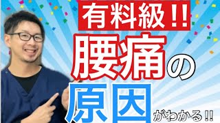 【脱・腰痛】腰痛の方は要チェック‼︎プロがやっている腰痛の原因の見つけ方！！【伏見区　接骨院】