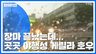 [날씨] 장마 끝났는데...수도권·영서에 야행성 게릴라 호우 / YTN