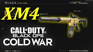 【COD:BOCＷ】使いやすいAR　XM4