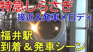 【福井駅】特急しらさぎ到着＆発車シーン・メロディあり【2020北陸本線一人旅番外編３】