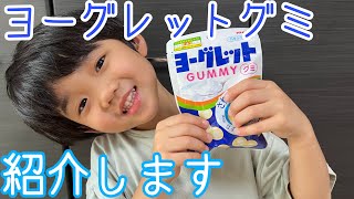 【紹介】ヨーグレットグミを一生懸命紹介します👌