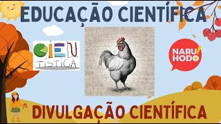 Estatística Psicobio II 2024 #28 -  Inferência Bayesiana II - Tipos de Aprioris e uso do Forest Plot