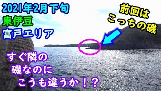 【東伊豆】前回メジナが釣れた磯の隣の磯へ行って来た【2021年2月下旬】