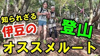 【日帰り登山】知られていない伊豆半島のオススメ登山ルート紹介│カフェ＆温泉情報付き