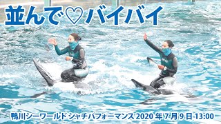 並んで♡バイバイ【2020年7月9日13:00　鴨川シーワールド　シャチパフォーマンス】Killer whale performance, Kamogawa Sea World, Japan