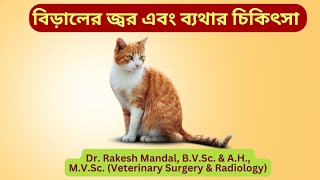 বিড়ালের জ্বর এবং ব্যথার চিকিৎসা I TREATMENT OF FEVER AND PAIN IN CATS I #fevertreatmentincats