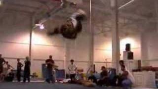 Loopkicks Camp 2004 Pegasus Gym Sampler