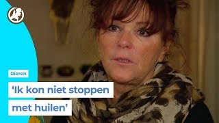 Papegaaienliefhebbers geschokt door moord op ara Rambo