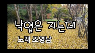 낙엽은 지는데 / 조영남 /PMW46