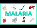 Malaria - Causes, Pathogenesis, Signs and Symptoms, Diagnosis, Treatment and Prevention.