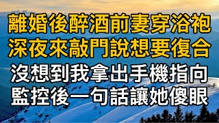 “就為了這點小事鬧嗎”，離婚後醉酒前妻穿浴袍深夜來敲門說想要復合，沒想到我拿出手機指向監控後一句話讓她傻眼！一口氣看完 ｜完結文｜真實故事 ｜都市男女｜情感｜男閨蜜｜妻子出軌｜楓林情感