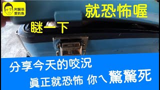 【阿賢爸】愛釣魚 Ep.195 分享今天釣況 真正就恐怖ㄟ 你ㄟ驚驚死 20230109 (大咬釣組金珠釣法珠鉤釣法)