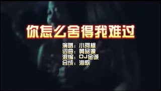 小阿枫 《你怎么舍得我难过》Dj金诚 ProgHouse KTV 导唱字幕 （备有伴奏视频）