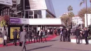Official MAPIC trailer 2013