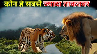 इनमें से कौन है ?जंगल का सबसे ताकतवर योद्धा शेर या बाघ🦁🐯 /Who is the king of the jungle?