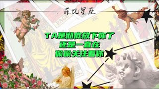 TA是彻底放下你了还是一直在偷偷关注着你？ #塔罗测试 #情感塔罗 #塔罗 #疗愈 #塔罗牌教学