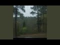 Fallen Down - Slowed Down