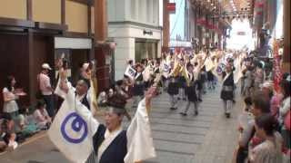 NTT西日本高知支店　～2012高知よさこい祭り(はりまや橋競演場)