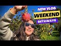 APPLE PICKING IN NEW YORK | Tibetan youtuber | Bhutan | travel guide | Bhutanese youtube