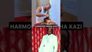 HARMONIZE ABANANISHWA VIBAYA