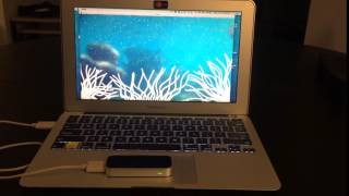 Interactive Processing Anemone