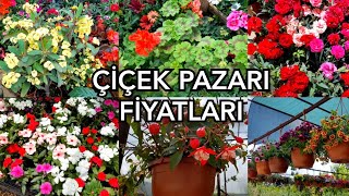 FİDAN PAZARININ ÇİÇEK FİYATLARI🌼🌹🍀#çiçekfiyatları #çiçekpazarı