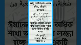 ৯. লজ্জা ঈমানের শাখা