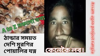 How to care deshi chicks in winter season, ঠান্ডার সময়ত দেশি মুৰগিৰ পোৱালি ৰ যত্ন কেনেকৈ কৰিব লাগে।