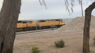 UP 835 reverses at Phoenix yard