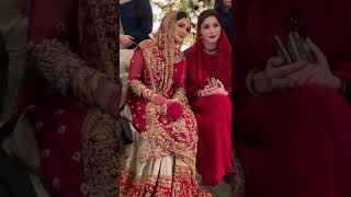 Sania Ashiq Wedding Video | Maryam Nawaz At Sania Ashiq Wedding | #maryamnawaz #saniaashiq #shorts