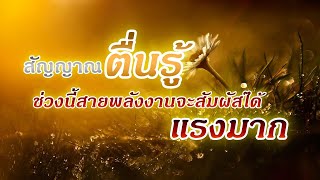 DAY 946 สัญญาณ \