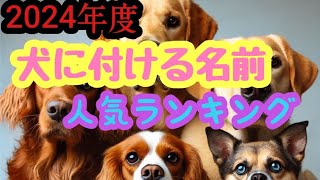 2024年度‼️犬に付ける名前ランキングTOP10