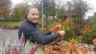 Naturbruksprogrammet inriktning Trädgård