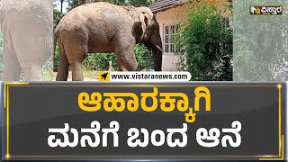 ಆಹಾರಕ್ಕಾಗಿ ಮನೆಗೆ ಬಂದ ಆನೆ | Elephant | Hassan | Vistara News Kannada