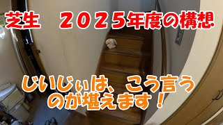 芝生　2025年度の構想