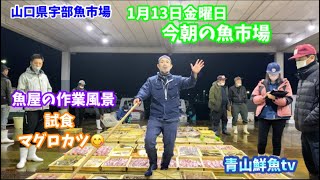 【まあまあ有ります🦀】【試食マグロカツ】【魚屋の作業風景】今朝の魚市場1月13日金曜日の水揚げ状況