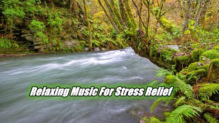 Relaxing Music For Stress Relief, Anxiety and Depressive States • Heal Mind, Body - Piano Music