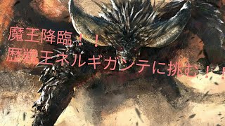 モンスターハンターワールド　［MHW] 　歴戦王ネルギガンテ　オトモアイルーとともに狩りにいってみる！　ソロ