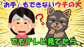 トレーナーに習っても「お手」もできないウチの犬。ところがテレビ見てたら..【実話】【ゆっくり音声】