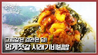 [한국인의밥상] 구름을 발밑에 두고 사는 경북 군위 귀촌마을 | “귀촌 일기-산다는 건 이런 게 아니겠니” (KBS 210527 방송)