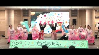 第19回さくらよさこい　京炎そでふれ！花風姿　ゼスト御池会場