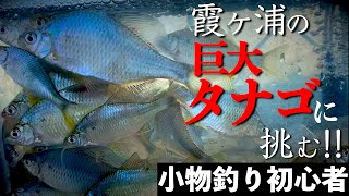 2022.07.22 霞ヶ浦のオオタナゴに挑戦！【小物釣り初心者】