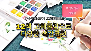 [제품리뷰]12색 사쿠라고체물감으로 수채화 꽃그림 flower illust